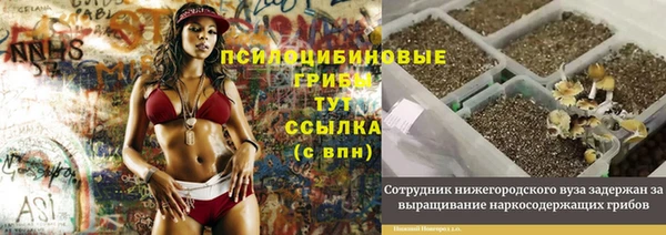 молекула духа Алексеевка