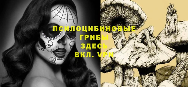 молекула духа Алексеевка